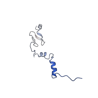 4130_5lzs_j_v2-2
Structure of the mammalian ribosomal elongation complex with aminoacyl-tRNA, eEF1A, and didemnin B