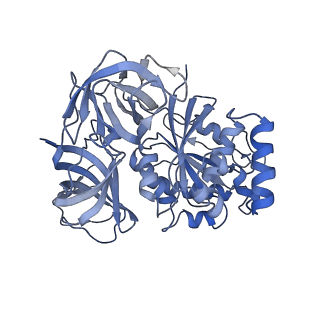 4130_5lzs_jj_v1-0
Structure of the mammalian ribosomal elongation complex with aminoacyl-tRNA, eEF1A, and didemnin B