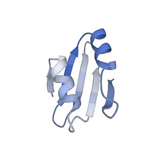4130_5lzs_k_v1-0
Structure of the mammalian ribosomal elongation complex with aminoacyl-tRNA, eEF1A, and didemnin B