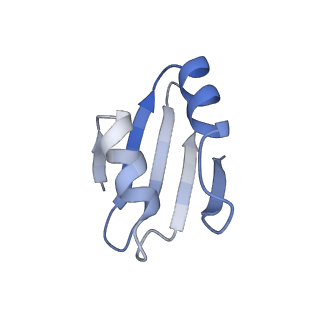 4130_5lzs_k_v2-2
Structure of the mammalian ribosomal elongation complex with aminoacyl-tRNA, eEF1A, and didemnin B