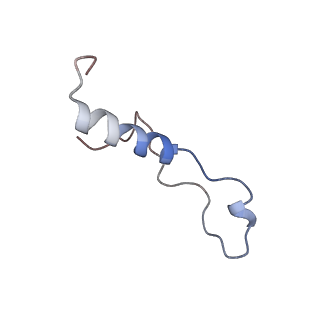 4130_5lzs_l_v1-0
Structure of the mammalian ribosomal elongation complex with aminoacyl-tRNA, eEF1A, and didemnin B