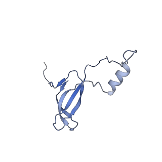 4130_5lzs_o_v1-0
Structure of the mammalian ribosomal elongation complex with aminoacyl-tRNA, eEF1A, and didemnin B