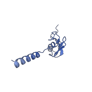 4130_5lzs_p_v1-0
Structure of the mammalian ribosomal elongation complex with aminoacyl-tRNA, eEF1A, and didemnin B