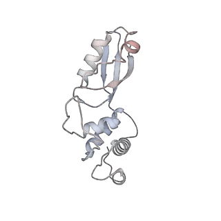 4130_5lzs_t_v2-2
Structure of the mammalian ribosomal elongation complex with aminoacyl-tRNA, eEF1A, and didemnin B
