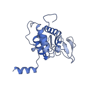 4131_5lzt_AA_v1-3
Structure of the mammalian ribosomal termination complex with eRF1 and eRF3.