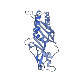 4131_5lzt_BB_v1-3
Structure of the mammalian ribosomal termination complex with eRF1 and eRF3.