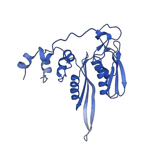 4131_5lzt_CC_v1-3
Structure of the mammalian ribosomal termination complex with eRF1 and eRF3.