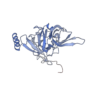 4131_5lzt_EE_v1-3
Structure of the mammalian ribosomal termination complex with eRF1 and eRF3.