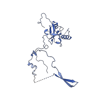 4131_5lzt_E_v1-3
Structure of the mammalian ribosomal termination complex with eRF1 and eRF3.