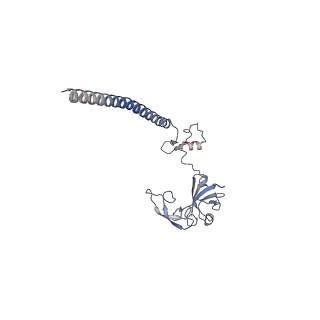 4131_5lzt_GG_v1-3
Structure of the mammalian ribosomal termination complex with eRF1 and eRF3.