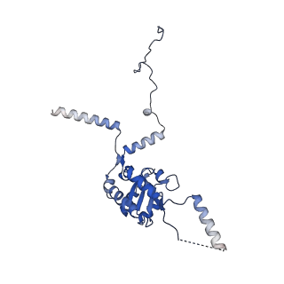 4131_5lzt_G_v1-3
Structure of the mammalian ribosomal termination complex with eRF1 and eRF3.