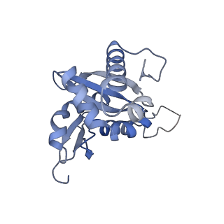 4131_5lzt_HH_v1-3
Structure of the mammalian ribosomal termination complex with eRF1 and eRF3.