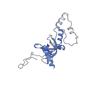 4131_5lzt_II_v1-3
Structure of the mammalian ribosomal termination complex with eRF1 and eRF3.