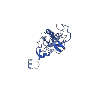 4131_5lzt_I_v1-3
Structure of the mammalian ribosomal termination complex with eRF1 and eRF3.