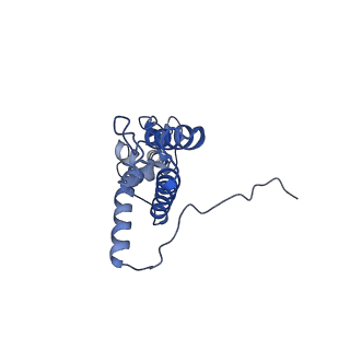 4131_5lzt_JJ_v1-3
Structure of the mammalian ribosomal termination complex with eRF1 and eRF3.