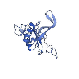 4131_5lzt_J_v1-3
Structure of the mammalian ribosomal termination complex with eRF1 and eRF3.