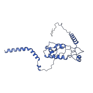 4131_5lzt_L_v1-3
Structure of the mammalian ribosomal termination complex with eRF1 and eRF3.