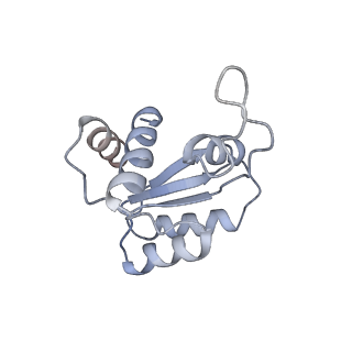4131_5lzt_MM_v1-3
Structure of the mammalian ribosomal termination complex with eRF1 and eRF3.