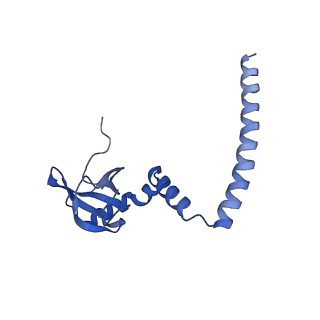 4131_5lzt_M_v1-3
Structure of the mammalian ribosomal termination complex with eRF1 and eRF3.