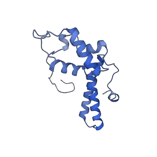 4131_5lzt_NN_v1-3
Structure of the mammalian ribosomal termination complex with eRF1 and eRF3.