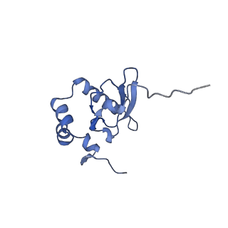 4131_5lzt_PP_v1-3
Structure of the mammalian ribosomal termination complex with eRF1 and eRF3.