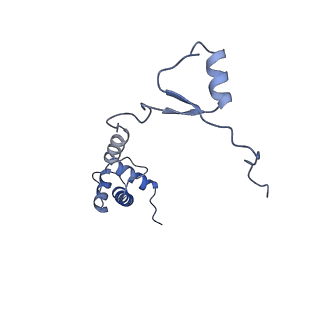 4131_5lzt_RR_v1-3
Structure of the mammalian ribosomal termination complex with eRF1 and eRF3.