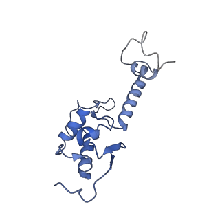 4131_5lzt_SS_v1-3
Structure of the mammalian ribosomal termination complex with eRF1 and eRF3.