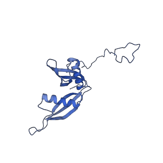 4131_5lzt_S_v1-3
Structure of the mammalian ribosomal termination complex with eRF1 and eRF3.