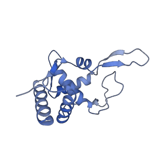 4131_5lzt_TT_v1-3
Structure of the mammalian ribosomal termination complex with eRF1 and eRF3.