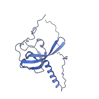 4131_5lzt_T_v1-3
Structure of the mammalian ribosomal termination complex with eRF1 and eRF3.