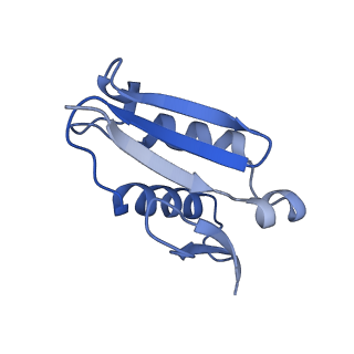 4131_5lzt_U_v1-3
Structure of the mammalian ribosomal termination complex with eRF1 and eRF3.