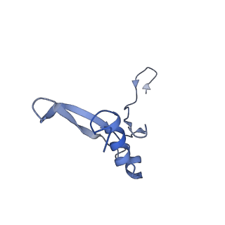 4131_5lzt_VV_v1-3
Structure of the mammalian ribosomal termination complex with eRF1 and eRF3.