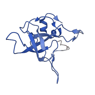 4131_5lzt_V_v1-3
Structure of the mammalian ribosomal termination complex with eRF1 and eRF3.
