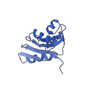 4131_5lzt_WW_v1-3
Structure of the mammalian ribosomal termination complex with eRF1 and eRF3.
