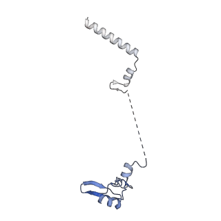 4131_5lzt_W_v1-3
Structure of the mammalian ribosomal termination complex with eRF1 and eRF3.