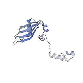 4131_5lzt_YY_v1-3
Structure of the mammalian ribosomal termination complex with eRF1 and eRF3.