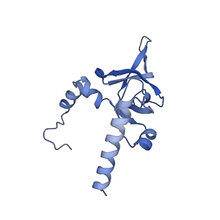 4131_5lzt_Y_v1-3
Structure of the mammalian ribosomal termination complex with eRF1 and eRF3.