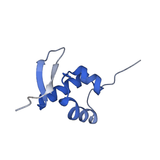 4131_5lzt_ZZ_v1-3
Structure of the mammalian ribosomal termination complex with eRF1 and eRF3.