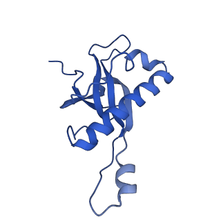 4131_5lzt_Z_v1-3
Structure of the mammalian ribosomal termination complex with eRF1 and eRF3.