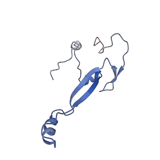 4131_5lzt_aa_v1-3
Structure of the mammalian ribosomal termination complex with eRF1 and eRF3.