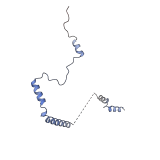 4131_5lzt_b_v1-3
Structure of the mammalian ribosomal termination complex with eRF1 and eRF3.