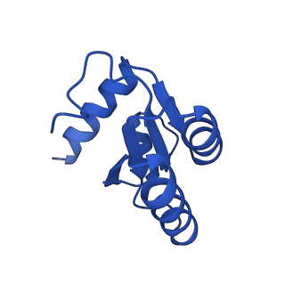 4131_5lzt_c_v1-3
Structure of the mammalian ribosomal termination complex with eRF1 and eRF3.