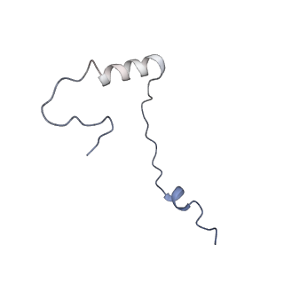 4131_5lzt_ee_v1-3
Structure of the mammalian ribosomal termination complex with eRF1 and eRF3.