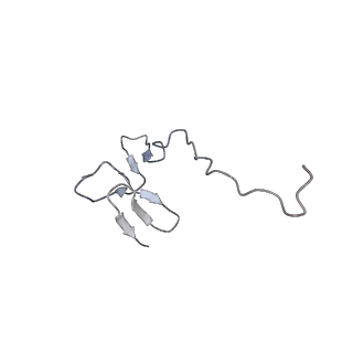 4131_5lzt_ff_v1-3
Structure of the mammalian ribosomal termination complex with eRF1 and eRF3.