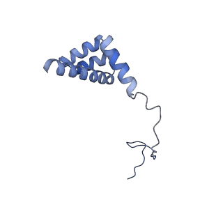 4131_5lzt_i_v1-3
Structure of the mammalian ribosomal termination complex with eRF1 and eRF3.