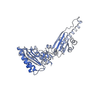 4131_5lzt_ii_v1-3
Structure of the mammalian ribosomal termination complex with eRF1 and eRF3.