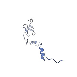 4131_5lzt_j_v1-3
Structure of the mammalian ribosomal termination complex with eRF1 and eRF3.