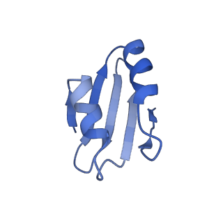 4131_5lzt_k_v1-3
Structure of the mammalian ribosomal termination complex with eRF1 and eRF3.