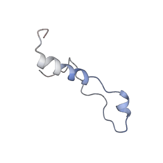 4131_5lzt_l_v1-3
Structure of the mammalian ribosomal termination complex with eRF1 and eRF3.