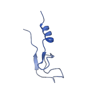 4131_5lzt_m_v1-3
Structure of the mammalian ribosomal termination complex with eRF1 and eRF3.